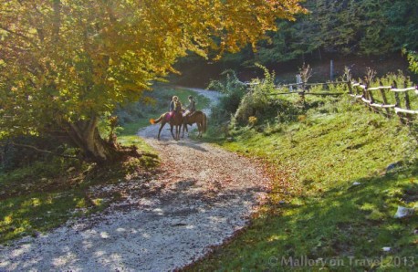 Attività a cavallo presso Le Scuderie del Peschio