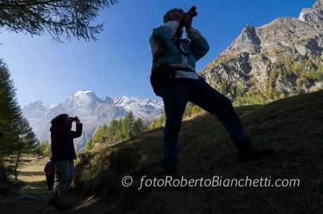 Gli stambecchi arrampicatori: Trekking fotografico con Roberto Bianchetti