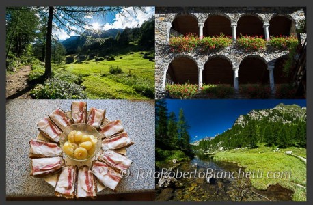 Gli stambecchi arrampicatori: Trekking fotografico con Roberto Bianchetti