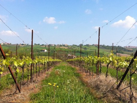 Tenuta Carbognano