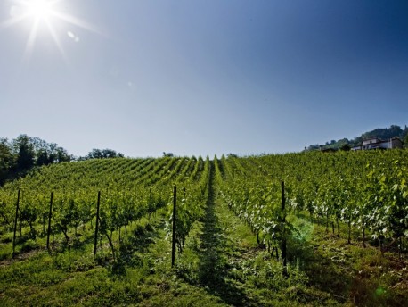 Tenuta Carbognano