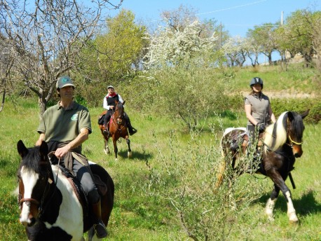 Esperienza a cavallo presso Il Mandorleto