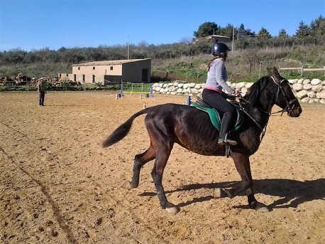 Esperienza a cavallo presso Il Mandorleto