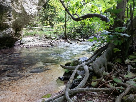 Trekking nella terra del benessere con Bikelife