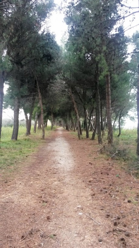 Trekking sulla costa dei trabocchi con Bikelife