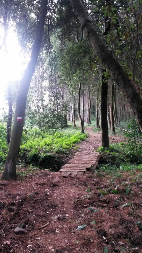 Trekking sulla costa dei trabocchi con Bikelife