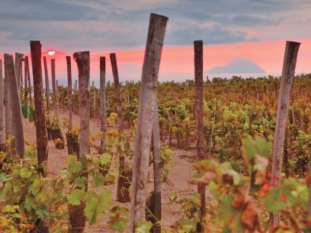 Tenuta di Castellaro