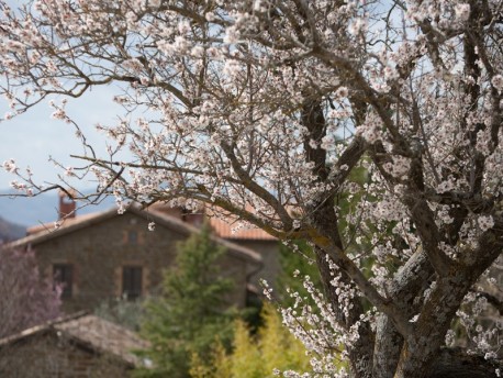 Agriturismo Guinzano