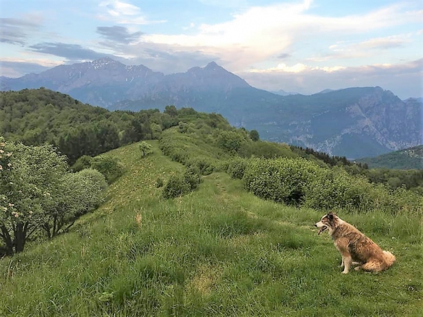 CàManin Azienda Agrituristica