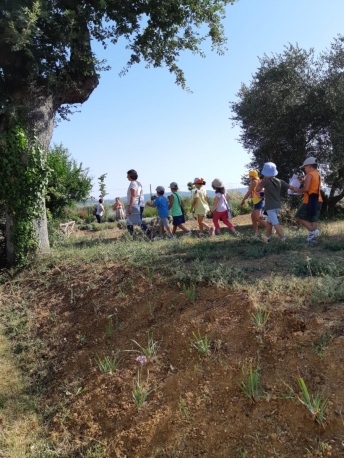 In azienda con il fattore presso Poggio Sassineri