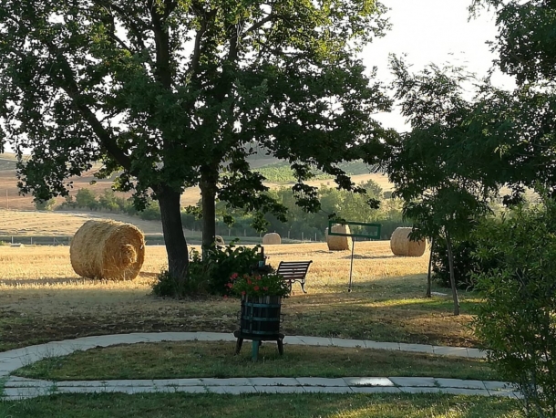 Yoga in natura presso Poggio Sassineri