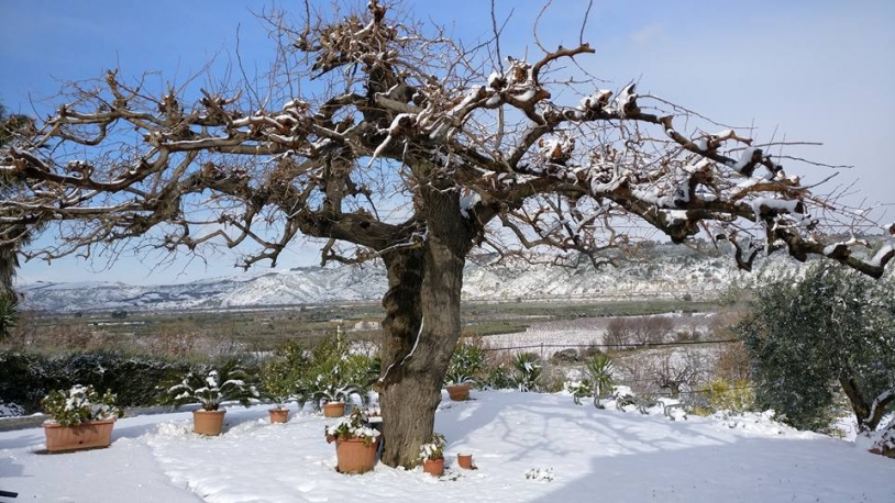 Il Terrazzo Sul Sinni: Sapori autentici e panorami mozzafiato