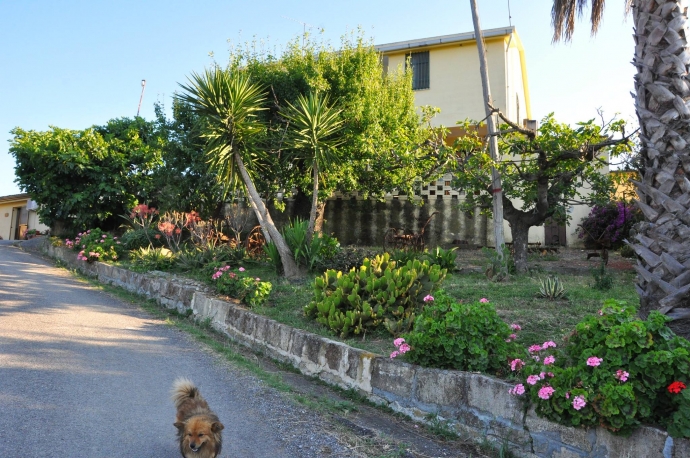 Il Terrazzo Sul Sinni: Natura e accoglienza pet-friendly