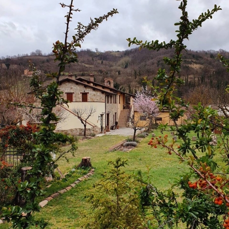 Domus Santa Croce