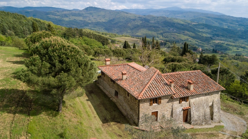 Fattoria di Cintoia