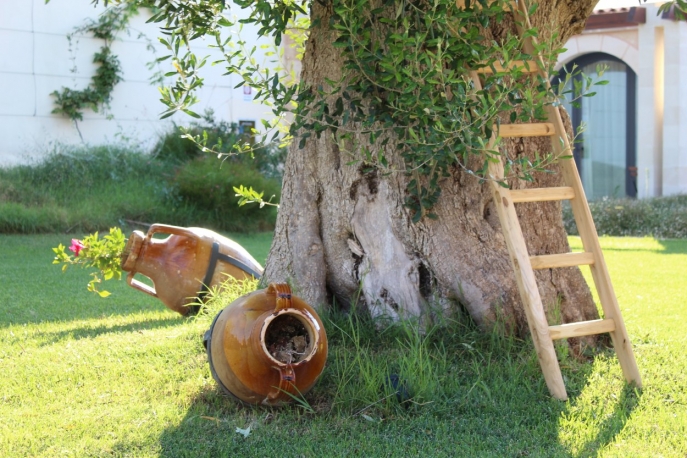 La pace dei sensi presso Masseria Stali