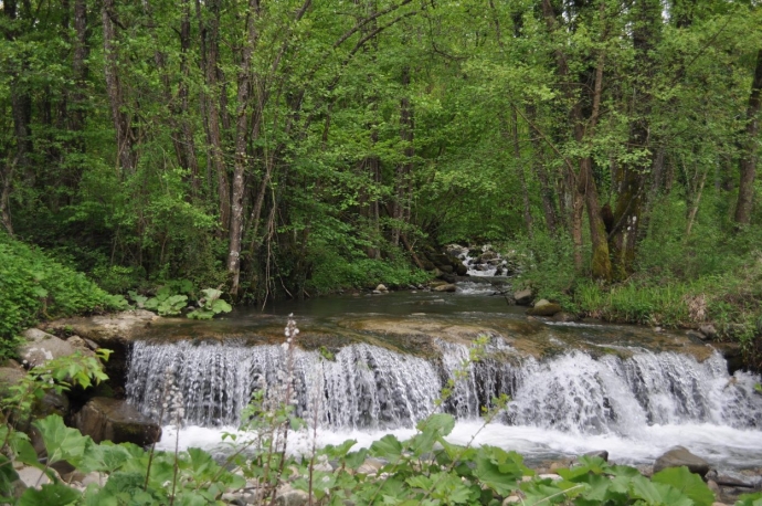 Attività nella natura con Madre Terra Albareto