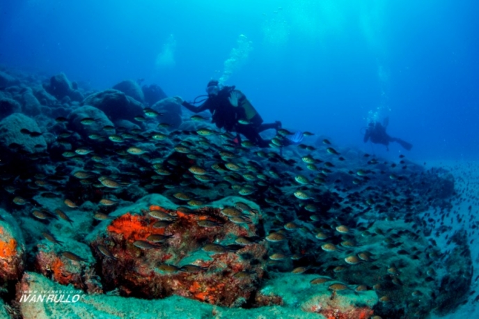 Snorkeling tra storia e biodiversità Megale Hellas Diving Center