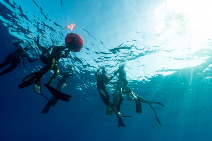 Snorkeling tra storia e biodiversità Megale Hellas Diving Center