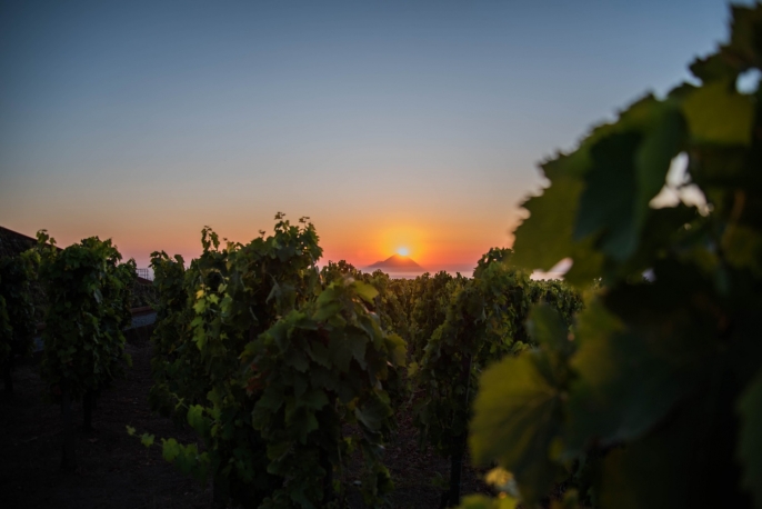 Degustazione al tramonto presso Tenuta Castellaro