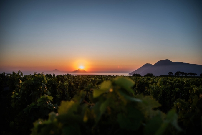 Degustazione al tramonto presso Tenuta Castellaro