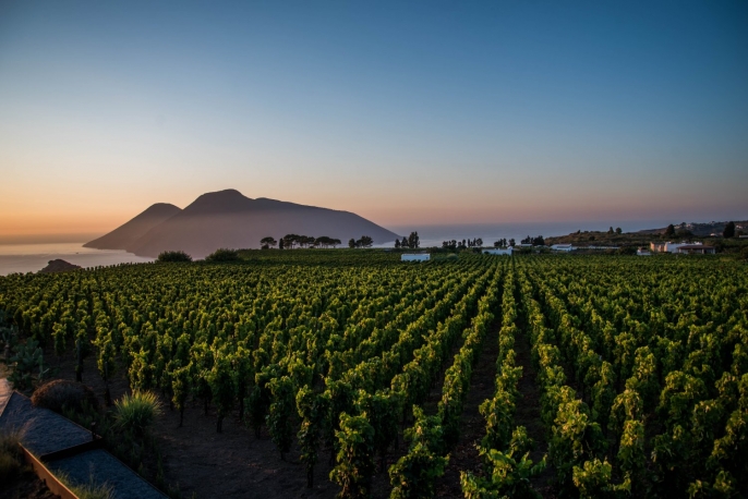 Degustazione al tramonto presso Tenuta Castellaro