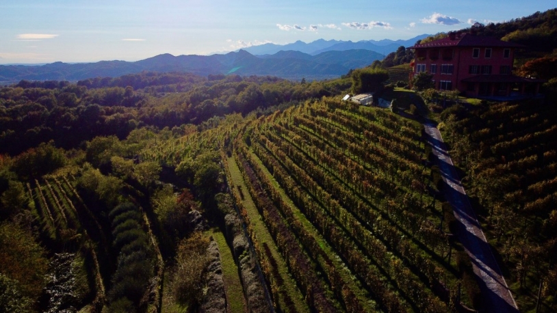 Un pomeriggio in vigna al Podere ai Valloni