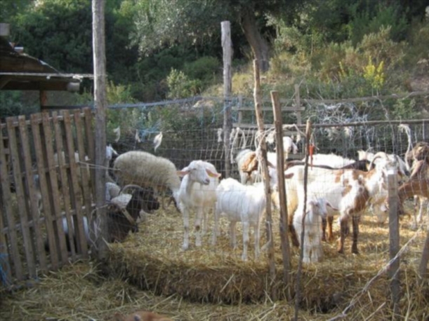 Agriturismo San Fele