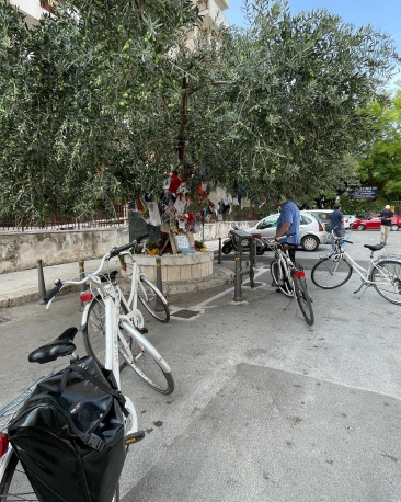 Bike tour a Palermo fra Memoria e impegno