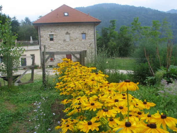 Fattoria Agriturismo Ortoalpino