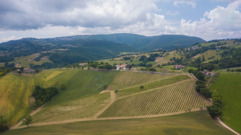 Degustazione di vini che parte dal campo!