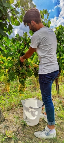 Degustazione di vini che parte dal campo!