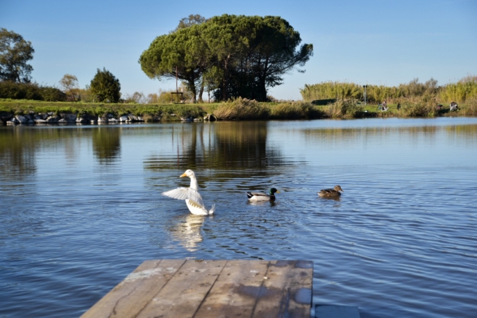 Il Giardino di Manipura