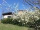 Alla scoperta delle capre di cashmere presso Agriturismo SanLorenzo