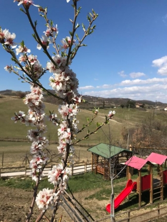 Alla scoperta delle capre di cashmere presso Agriturismo SanLorenzo