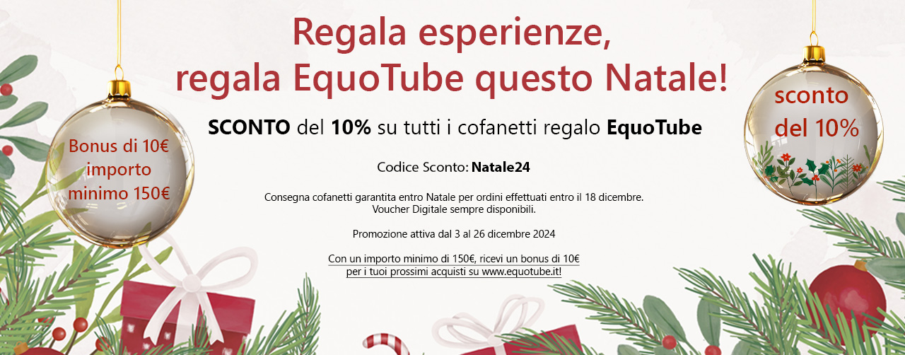 Sconto Natale