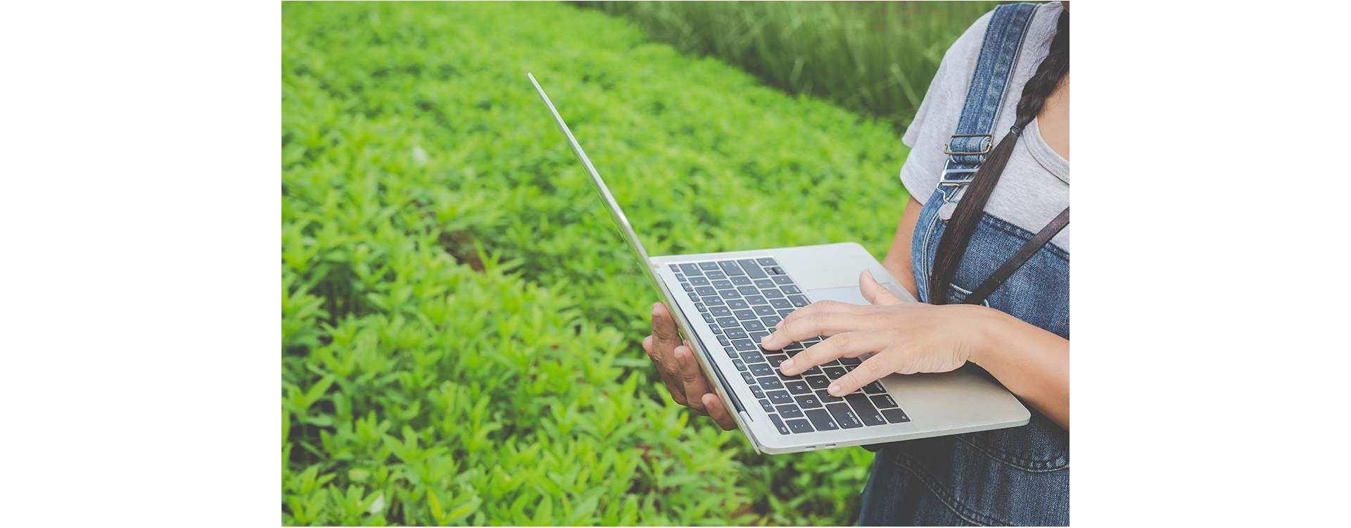 L’agricoltura sostenibile è innovativa, rinnovabile e rispettosa dell’ambiente