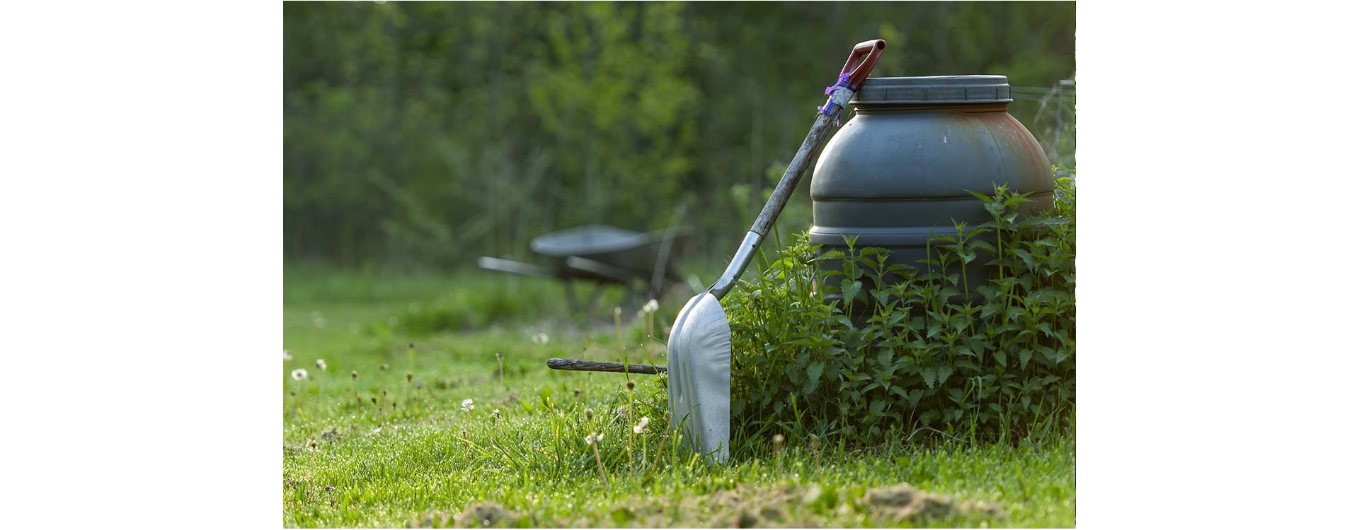 Food Forest, un sistema in continuo cambiamento