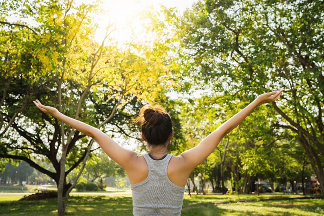 Forest Bathing: quando gli alberi donano benessere