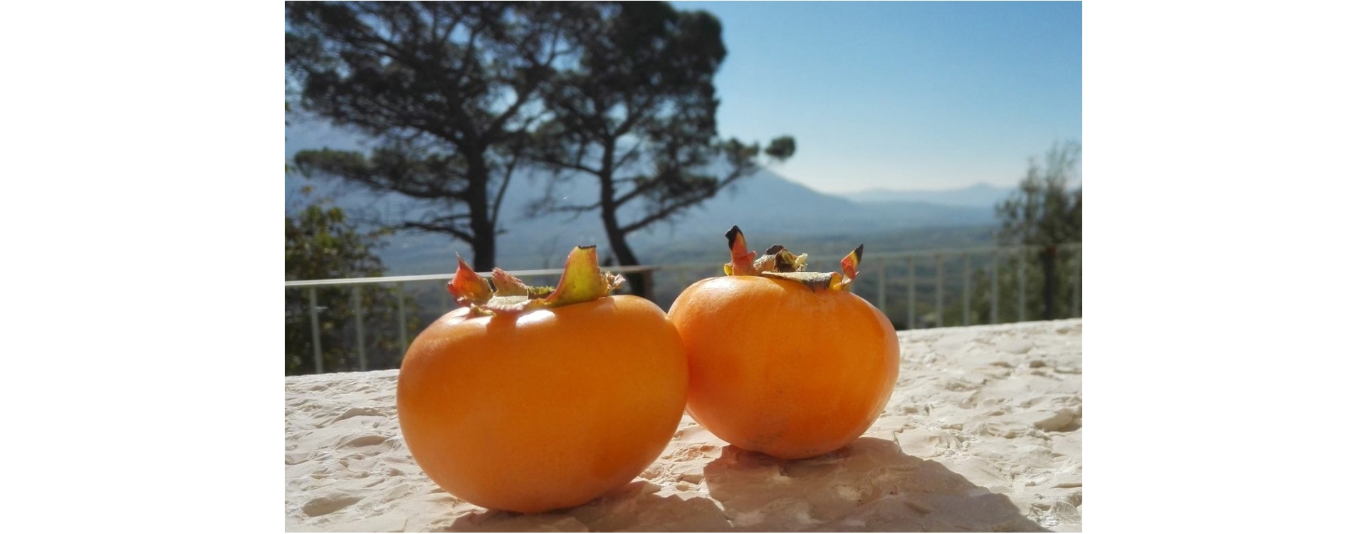 Relax e natura: tante mete green da scoprire in tutta Italia