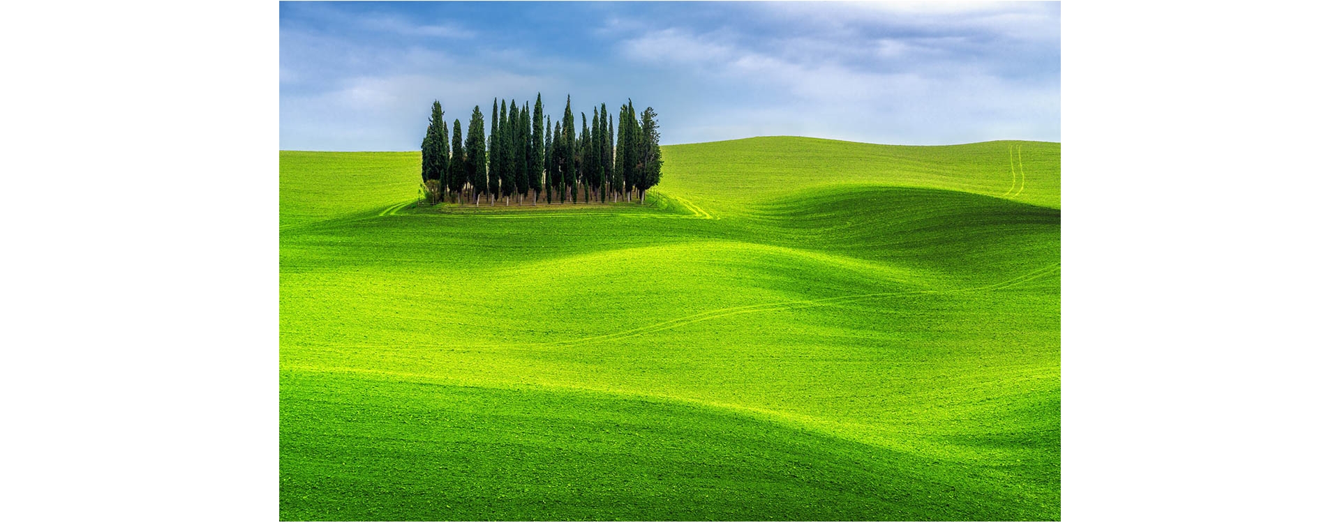 Toscana, una meta perfetta (e vicina) per l'estate 2020!